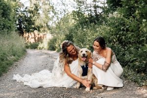 dog friendly devon wedding