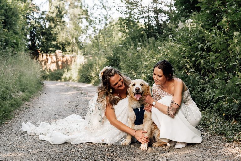 dog friendly devon wedding