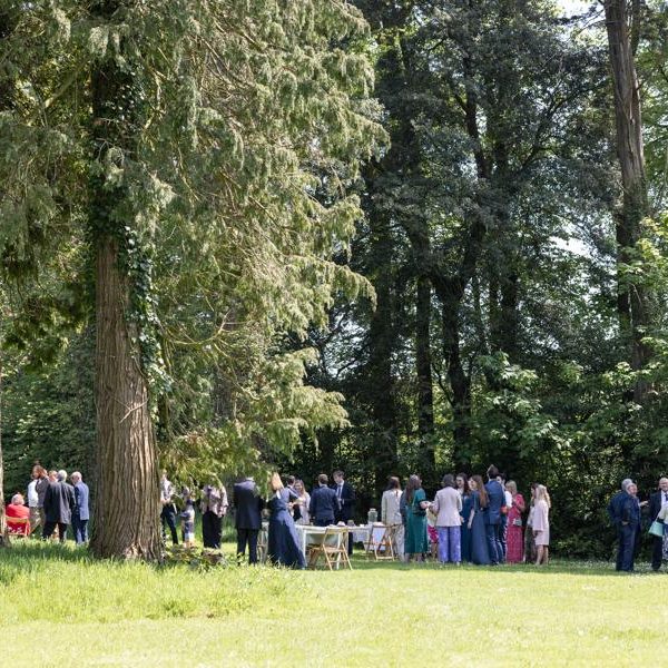 tree wedding reception