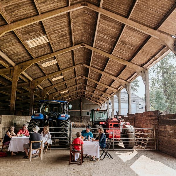 Ona and Allan, Ashridge Great Barn